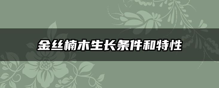金丝楠木生长条件和特性