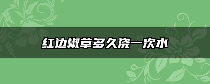 红边椒草多久浇一次水