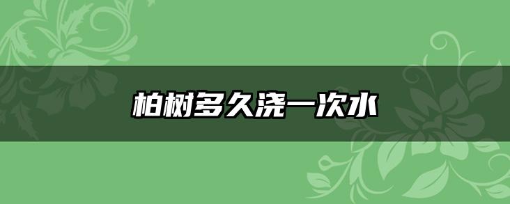 柏树多久浇一次水