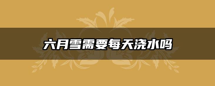六月雪需要每天浇水吗