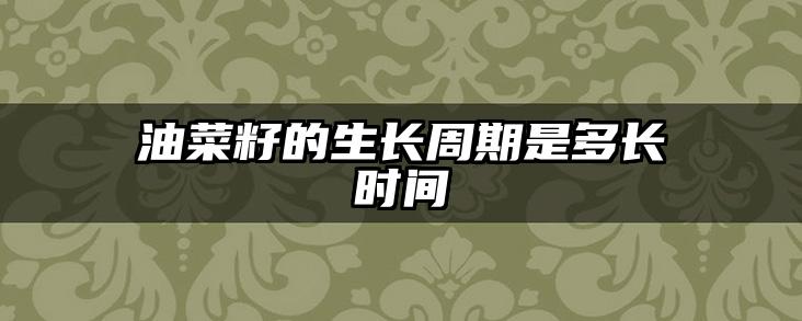 油菜籽的生长周期是多长时间