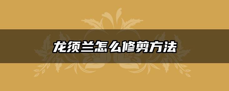 龙须兰怎么修剪方法