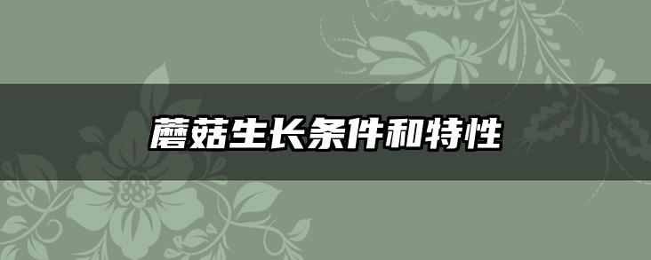 蘑菇生长条件和特性