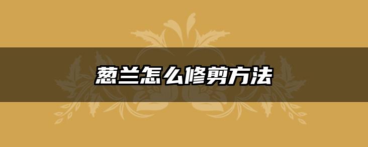 葱兰怎么修剪方法