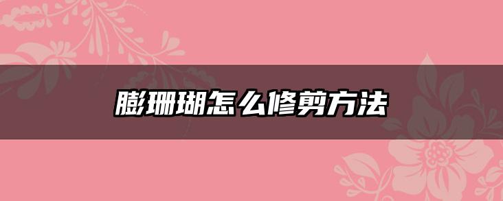 膨珊瑚怎么修剪方法