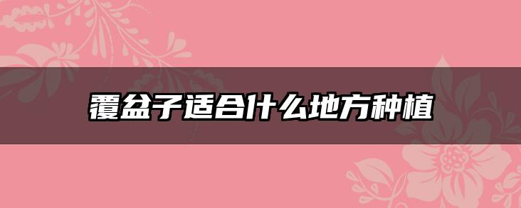 覆盆子适合什么地方种植