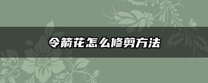 令箭花怎么修剪方法