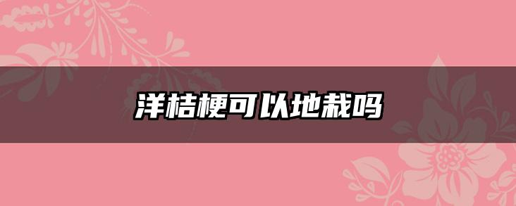 洋桔梗可以地栽吗