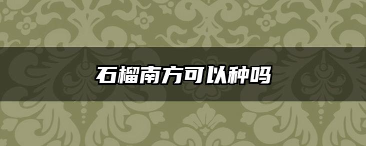 石榴南方可以种吗