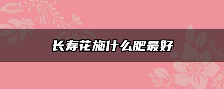 长寿花施什么肥最好