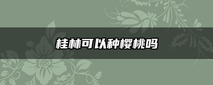 桂林可以种樱桃吗