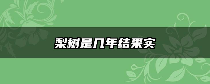 梨树是几年结果实