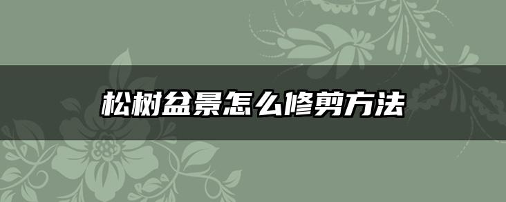 松树盆景怎么修剪方法