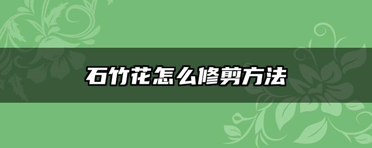 石竹花怎么修剪方法