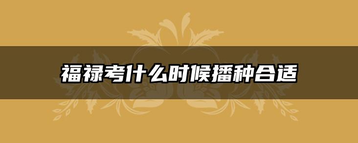 福禄考什么时候播种合适