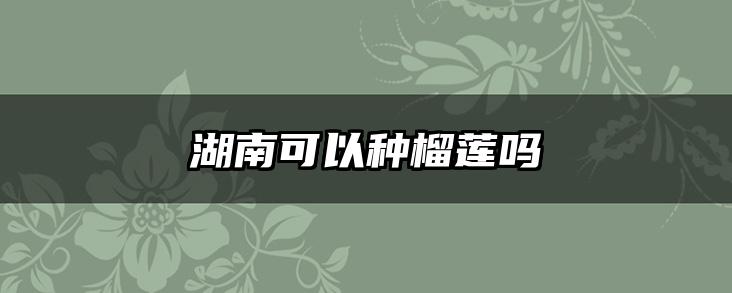 湖南可以种榴莲吗