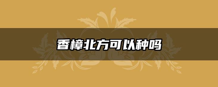 香樟北方可以种吗