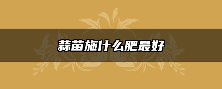 蒜苗施什么肥最好