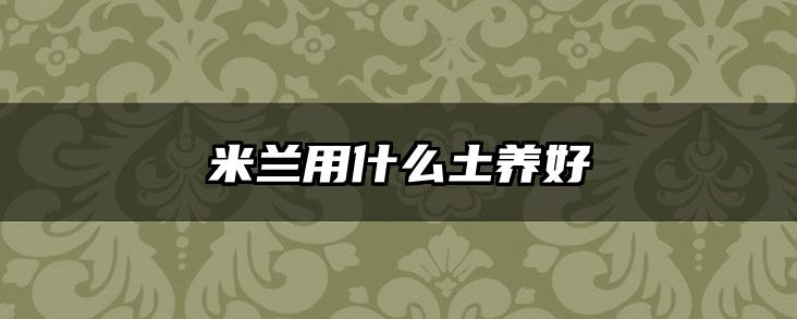 米兰用什么土养好