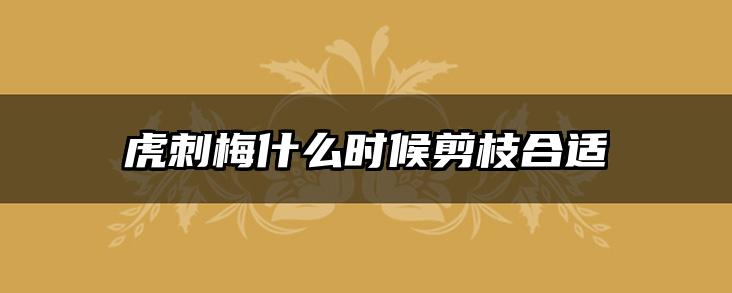 虎刺梅什么时候剪枝合适