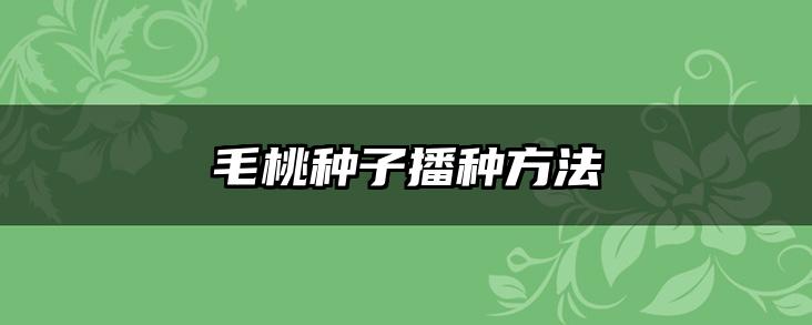 毛桃种子播种方法