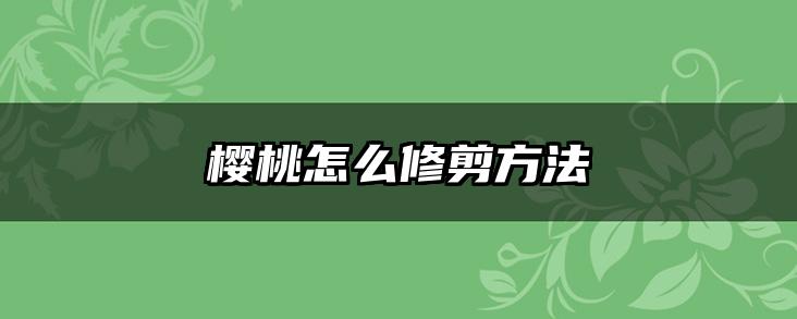 樱桃怎么修剪方法