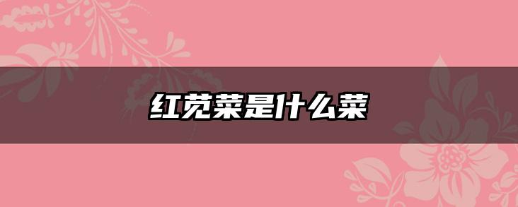 红苋菜是什么菜