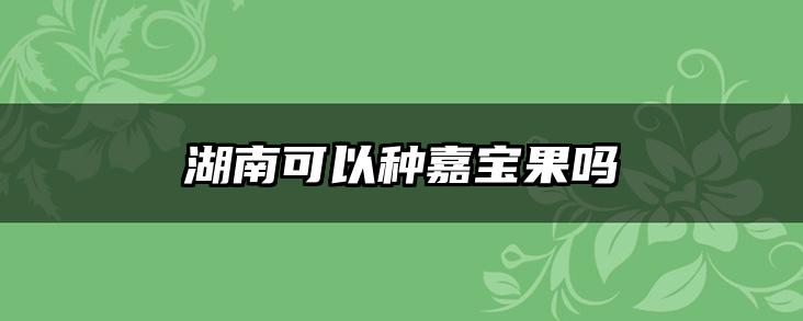 湖南可以种嘉宝果吗