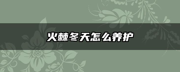 火棘冬天怎么养护