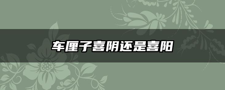 车厘子喜阴还是喜阳