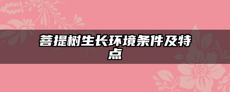 菩提树生长环境条件及特点