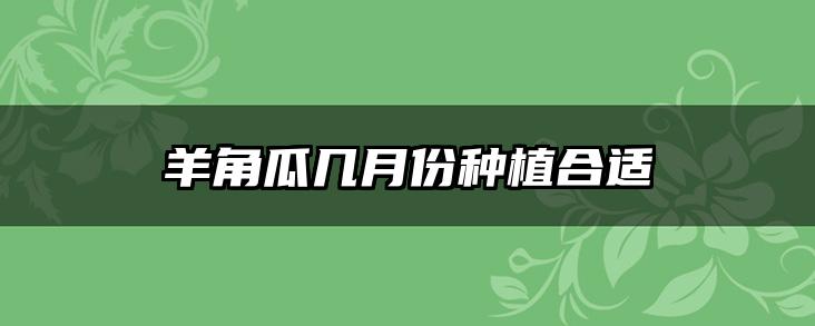 羊角瓜几月份种植合适