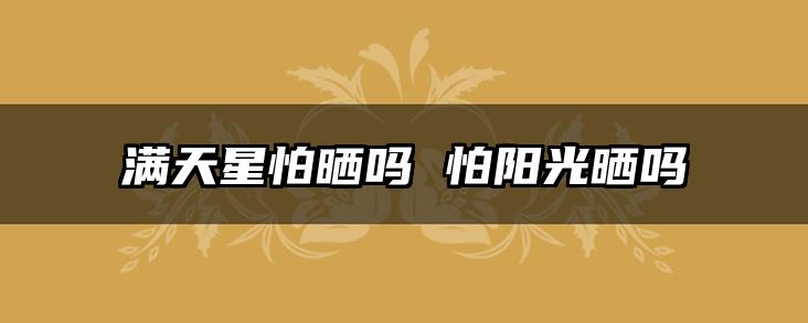 满天星怕晒吗 怕阳光晒吗