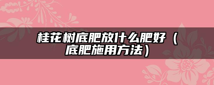 桂花树底肥放什么肥好(底肥施用方法)