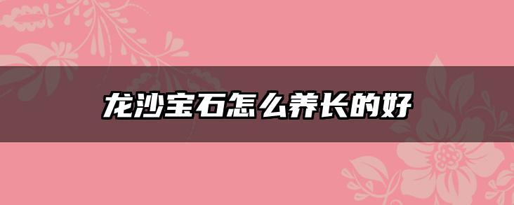龙沙宝石怎么养长的好