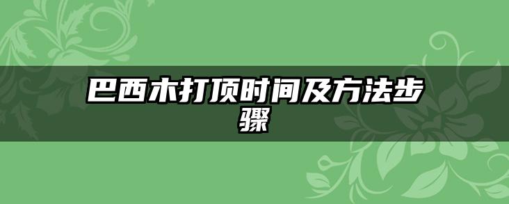 巴西木打顶时间及方法步骤
