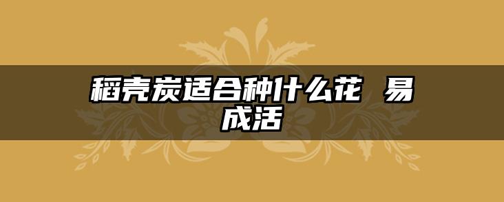 稻壳炭适合种什么花 易成活