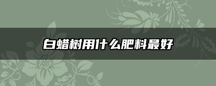 白蜡树用什么肥料最好
