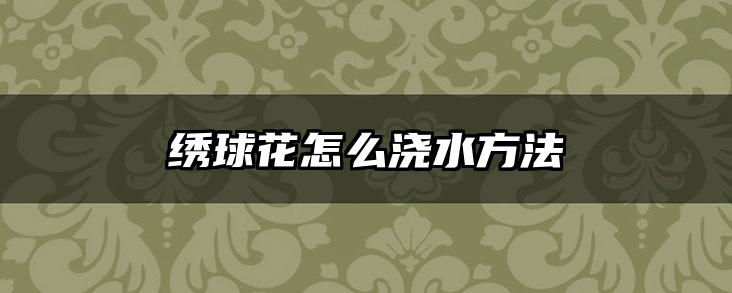 绣球花怎么浇水方法