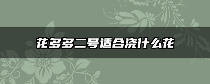 花多多二号适合浇什么花