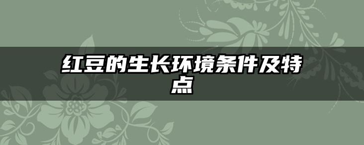 红豆的生长环境条件及特点