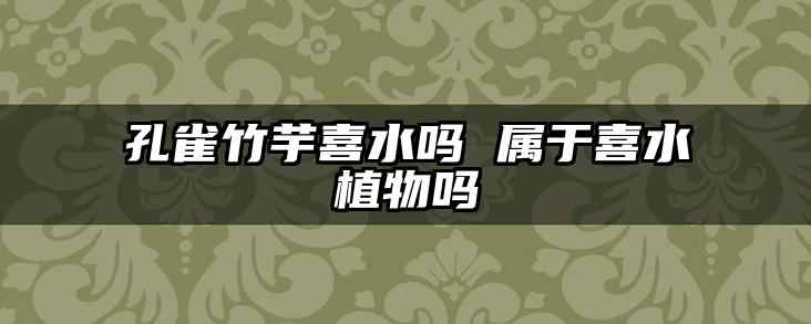 孔雀竹芋喜水吗 属于喜水植物吗