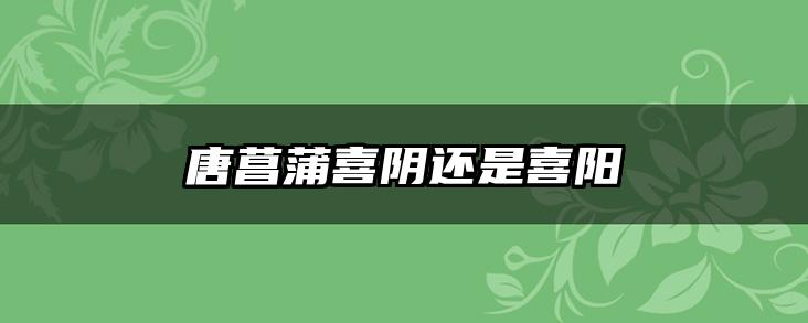 唐菖蒲喜阴还是喜阳