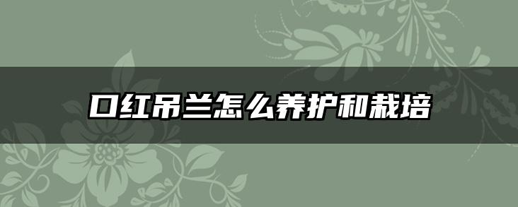 口红吊兰怎么养护和栽培