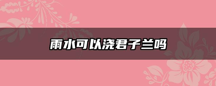 雨水可以浇君子兰吗