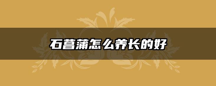石菖蒲怎么养长的好