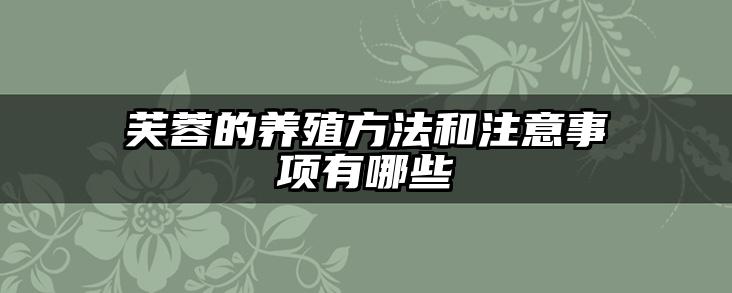 芙蓉的养殖方法和注意事项有哪些