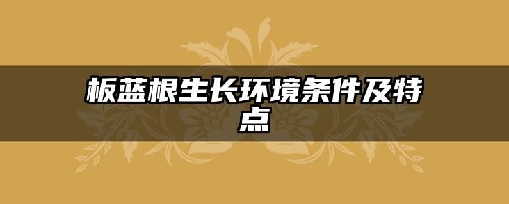 板蓝根生长环境条件及特点