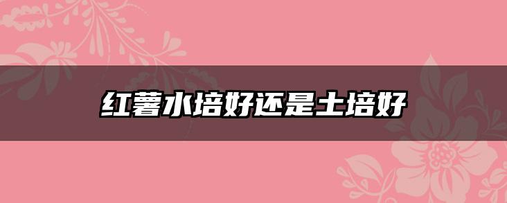 红薯水培好还是土培好