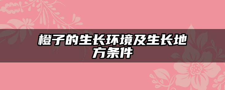 橙子的生长环境及生长地方条件